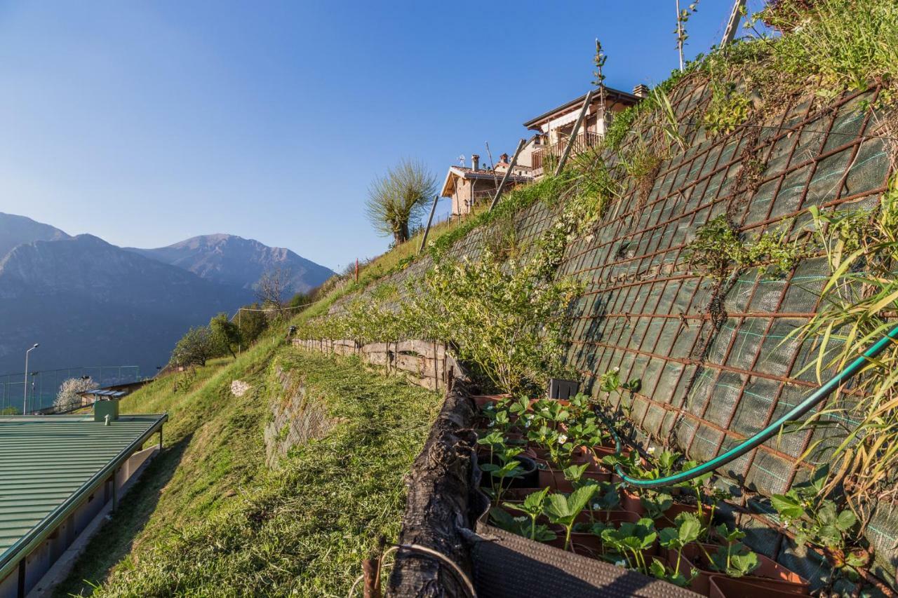 Agriturismo Alveare Sul Lago Pisogne Εξωτερικό φωτογραφία
