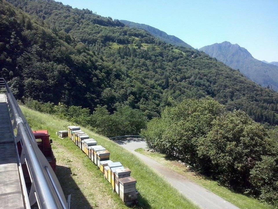 Agriturismo Alveare Sul Lago Pisogne Εξωτερικό φωτογραφία